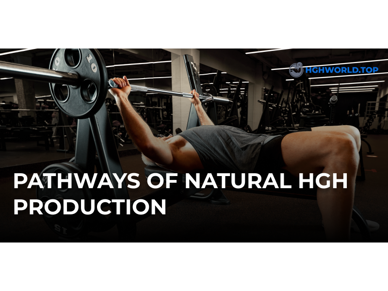Pathways of natural HGH production